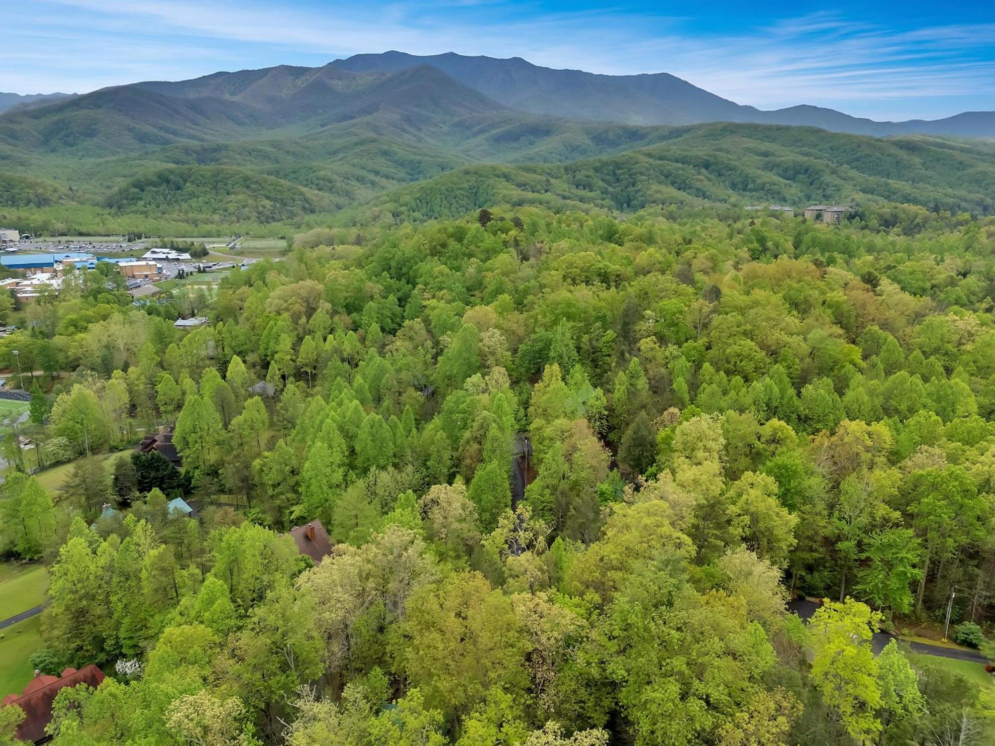 Foxy Lady #1531 Villa Gatlinburg Bagian luar foto