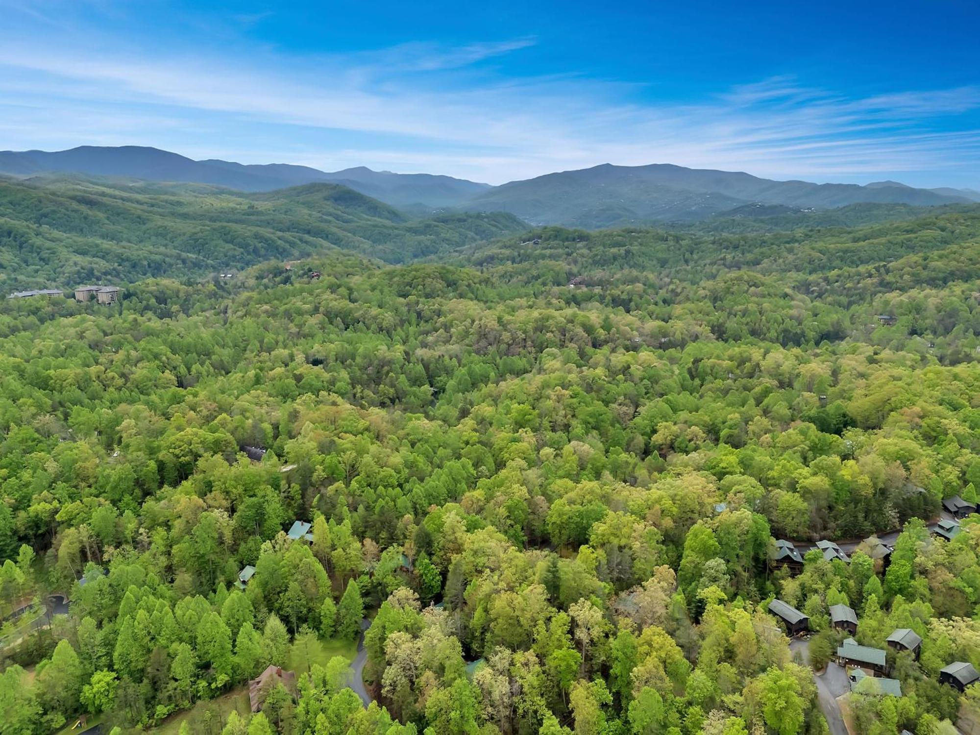 Foxy Lady #1531 Villa Gatlinburg Bagian luar foto