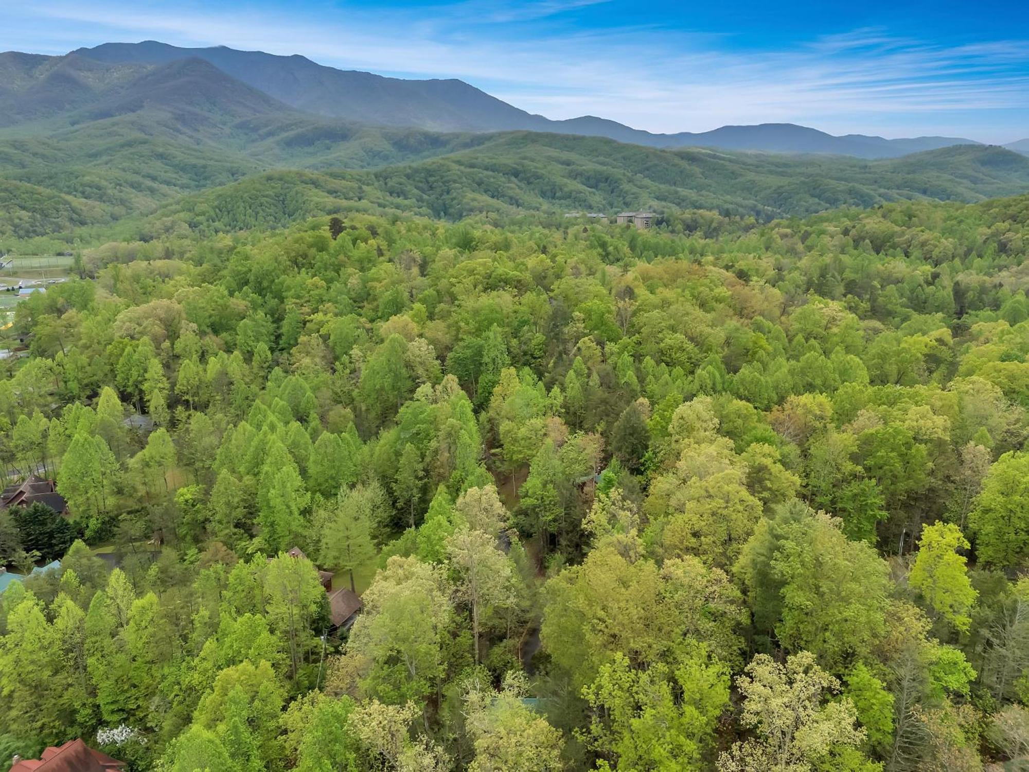 Foxy Lady #1531 Villa Gatlinburg Bagian luar foto